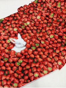 Кулирка купон Кролик с клубникой, с/л 60*180 см, с эф. велюра